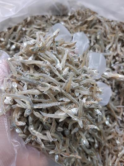 Bán Cá cơm mờm sữa