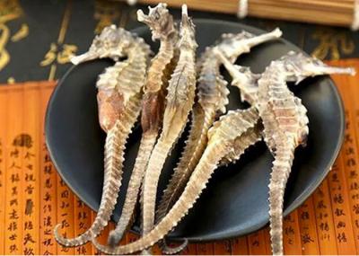 bán cá ngựa khô giá sỉ
