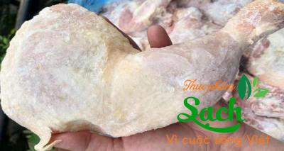 Bán Đùi gà 1/4 Simmons xanh