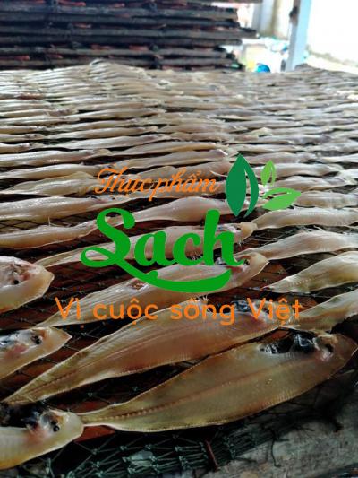 Bán sỉ khô cá lưỡi trâu