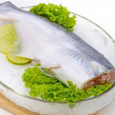 Basa không đầu giá sỉ tphcm