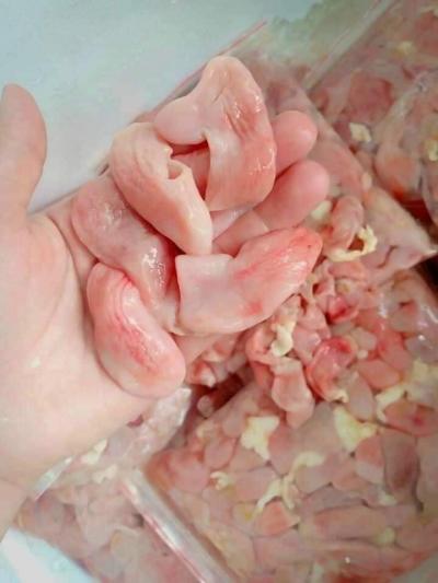 Bỏ sỉ bao tử cá basa