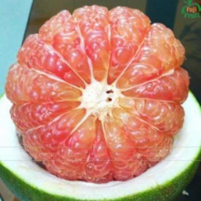 Bưởi da xanh Phú Quý