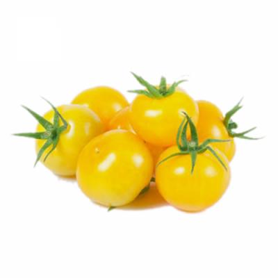 Cà Chua Bee Vàng EveryDay Organic - 200G