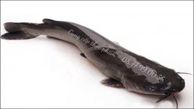 Cá lăng bao nhiêu tiền 1kg?