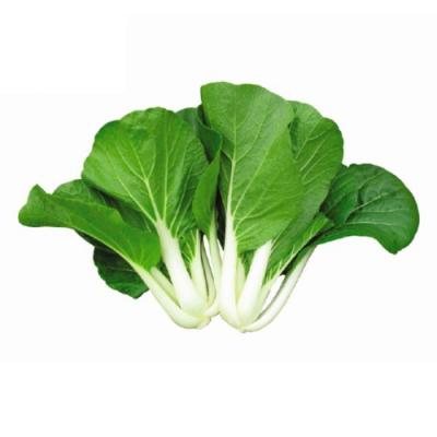Cải Bẹ Trắng - 300g