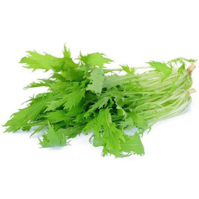 Cải Đuôi Phụng Hữu Cơ-300g