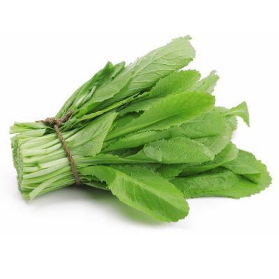 Cải Xanh Hữu Cơ-250g