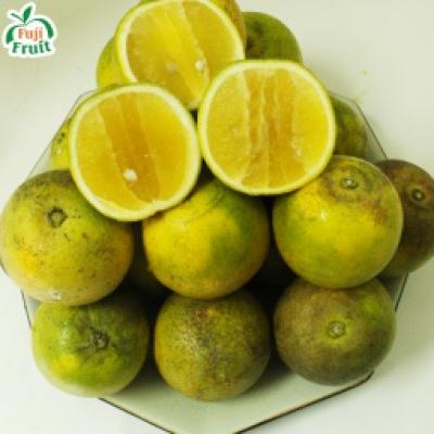 Cam xoàn Lai Vung