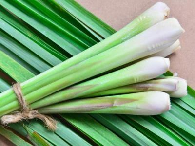 Cây Xả  ( Giá sản phẩm đổi sau 48 H)