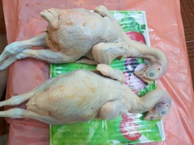 Chuyên Cung Cấp, Bán Gà Thả Vườn, Gà Nướng Giá Rẻ Tại Tp Hcm