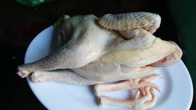Chuyên cung cấp gà ta thả vườn bao ngon chắc thịt cho các quán gà nướng ở TPHCM và các tỉnh Gà ta thả vườn