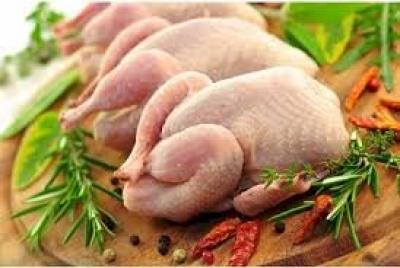 Cung Cấp Bán Thịt Gà Công Nghiệp Giá Sỉ Rẻ Tại Tp Hcm