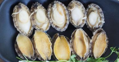 Cung cấp bào ngư giá sỉ size 1kg 18 - 22 con