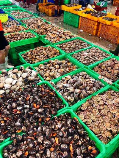 Cung cấp mua bán sỉ các loại ốc tại tphcm