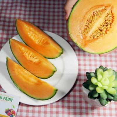 Dưa lưới xanh TL3