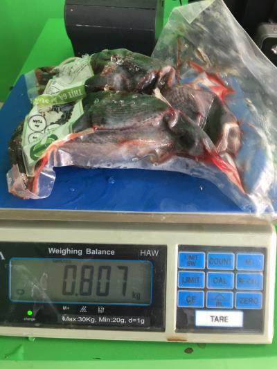 Gà ác trại gà ác