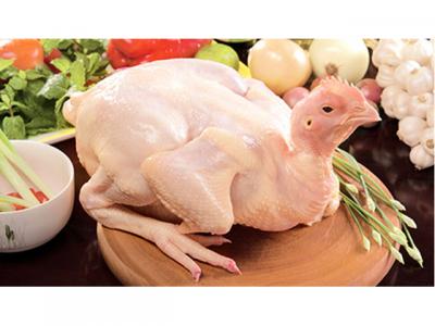 Gà tam hoàng nguyên con size 1,4 - 1,6kg
