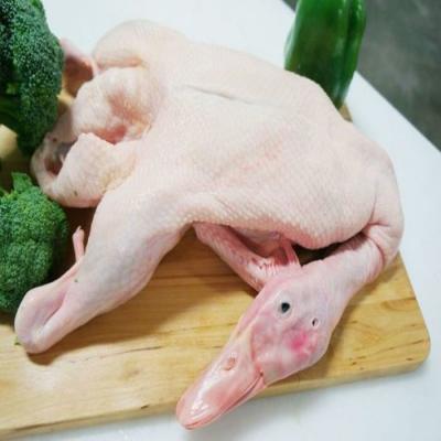 Gà vịt sạch Q7