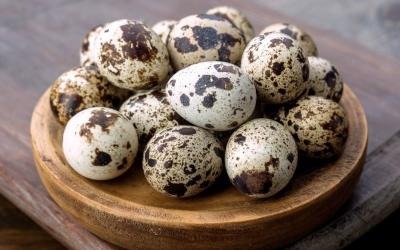 Giá Trứng Cút Chuyên Cung Cấp Các Loại Trứng Cút Sỉ và Lẻ