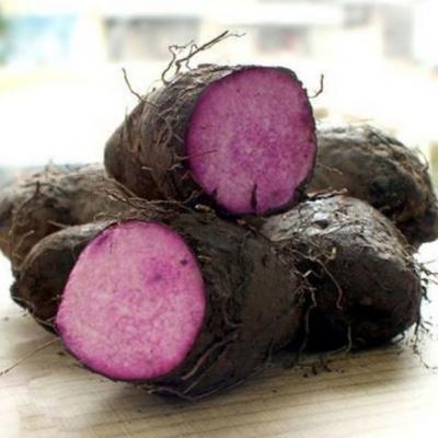 KHOAI MỠ (Giá sản phẩm đổi sau 48 H)