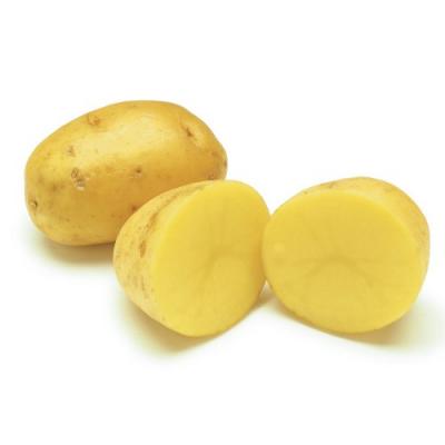 Khoai Tây Hữu Cơ - 500gram