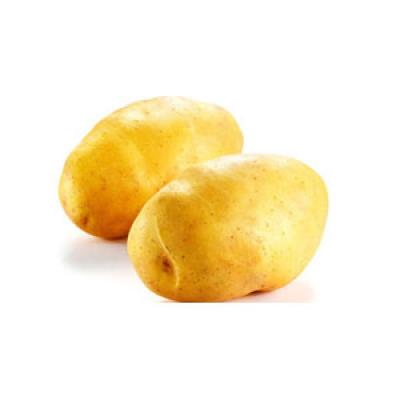 Khoai Tây (Giá sản phẩm đổi sau 48 H)