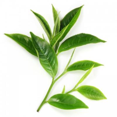 Lá Trà Xanh 300G
