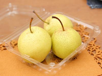 Lê đường nhập khẩu
