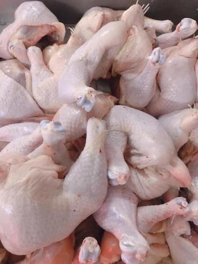 Mua bán cung cấp sỉ lẻ Đùi Gà Góc Tư Tươi