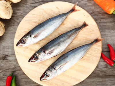 Mua bán sỉ Cá nục đông lạnh túi 500g
