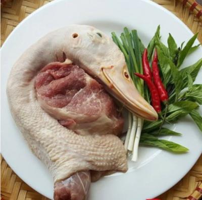 Mua bán sỉ đầu vịt