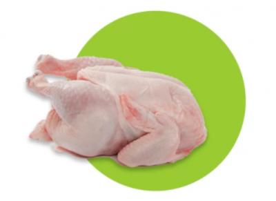 Mua bán sỉ Gà công nghiệp nguyên con 2-2.5kg/con