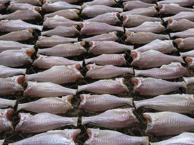 Mua bán sỉ Khô cá đù