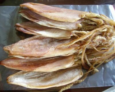 Mua bán sỉ Khô mực Cà Mau