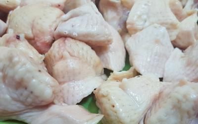 Mua bán sỉ Phao Câu Gà