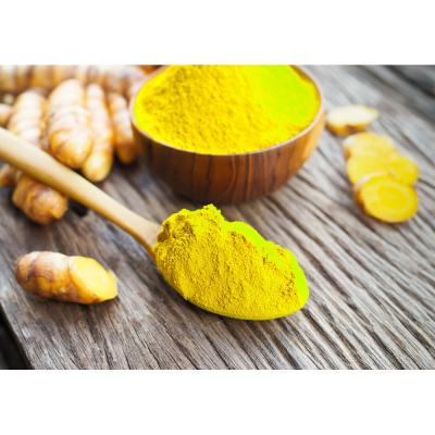 Mua bán sỉ Tinh Bột Nghệ Nguyên Chất