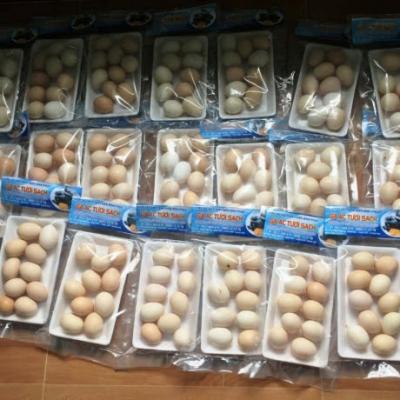 Mua bán sỉ trứng gà ác