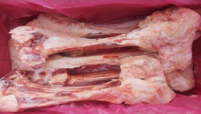 Mua bán sỉ Xương Ống Bò