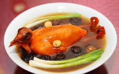 nhà phân phối chim bồ câu thịt chim bồ câu