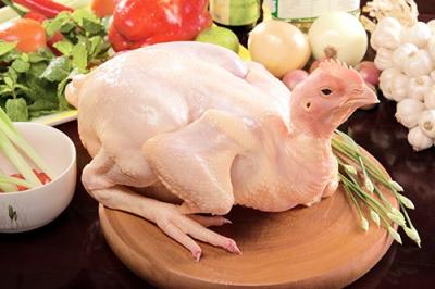 PHÂN BIỆT GÀ TA THẢ VƯỜN VÀ GÀ CÔNG NGHIỆP