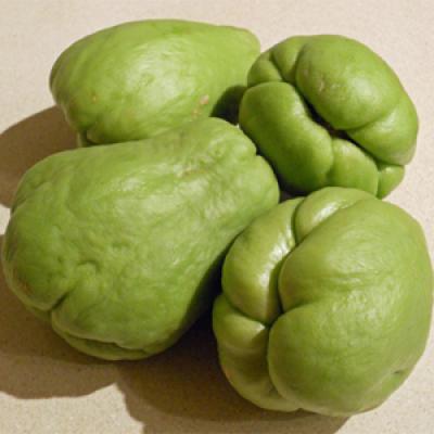 Su Su (Giá sản phẩm đổi sau 48 H)