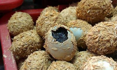 TRỨNG CÚT BẮC THẢO CÒN TRẤU