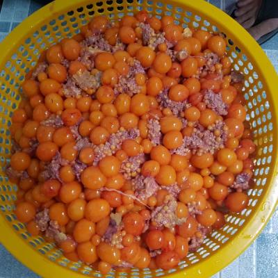 Trứng Gà Non sỉ