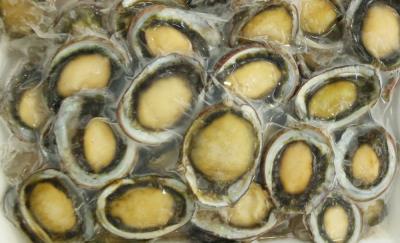 Vifood đơn vị phân phối các loại bào ngư giá sỉ
